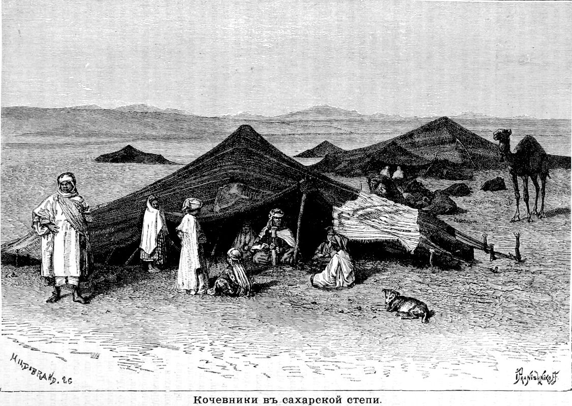 329 Кочевники в сахарской степи